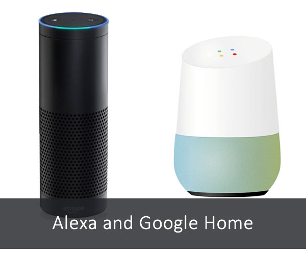 Alexa Amazon and Google Home