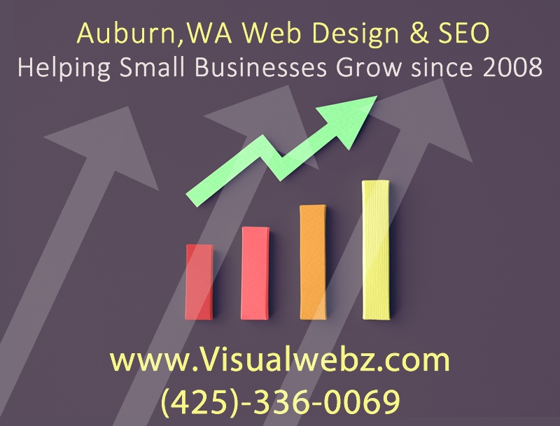 Auburn Web Design and SEO Company
