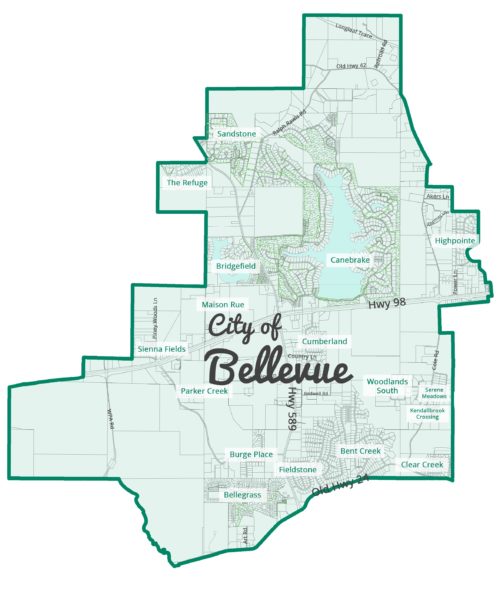 Bellevue website design