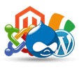 websites developed - wordpress