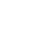 Seattle WordPress Design